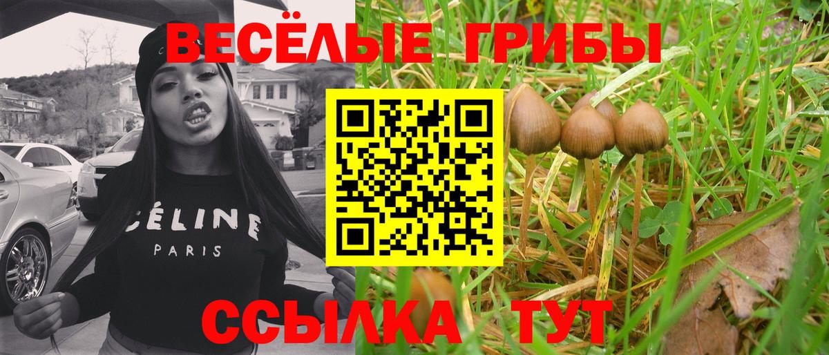 Псилоцибиновые грибы Magic Shrooms  Вход с VPN  магазин    Галлюциногенные грибы Magic Shrooms  Белебей 